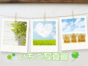 写真館のイメージ